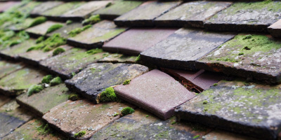 Portlethen roof repair costs